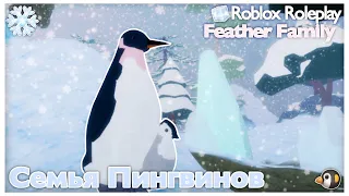 || Семья Пингвинов. 🐧|| Feather Family RP ❄️|| Roblox Roleplay || by julixiia!