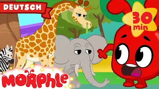 Morphle und die vermissten Tiere | Cartoon für Kinder | Mila und Morphle auf Deutsch