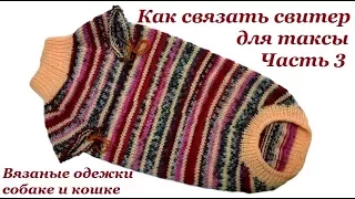 15. Как связать свитер для таксы. Часть 3