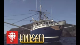 Land & Sea: Wooden vs Steel-hulled Long Liners