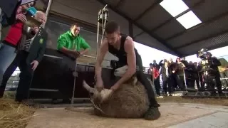 Ivan Scott Breaks World Record! |Big Week on the Farm | RTÉ ONE