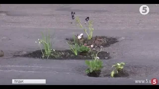 Висадили квіти у ями на асфальті: у Луцьку мешканці вирішили привернути увагу до ремонту доріг