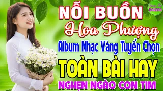 NỖI BUỒN HOA PHƯỢNG ➤ LK NHẠC VÀNG XƯA HAY NHẤT VƯỢT THỜI GIAN NGHE NGHẸN NGÀO CON TIM