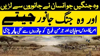 Animals vs Humans Documentary Urdu Hindi | LalGulab