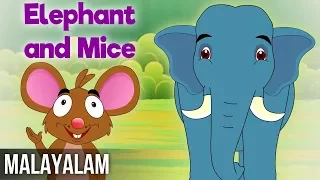 Elephants And The Mice | Panchatantra Stories In Malayalam | Magicbox