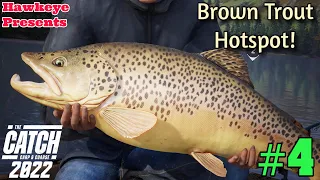 THE CATCH: Carp and Coarse - Season 2 (2022) - Brown Trout Hotspot!