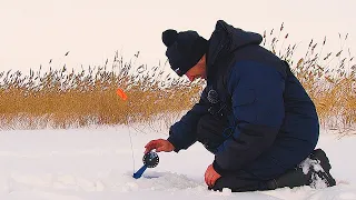 СБРОСИЛА ПЕТЛЮ И САМОПОДСЕКЛАСЬ! Рыбалка на жерлицы в глухозимье! Эксперимент по наживкам и крючкам!