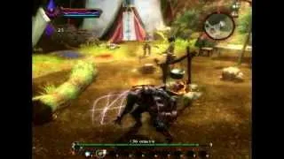 Kingdoms of Amalur: Reckoning Боевые приёмы