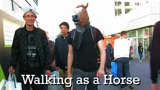 10 Hours of Walking as a Horse (Parody)