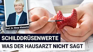 Schilddrüsenwerte, was der Hausarzt NICHT sagt - Interview mit Prof. Dr. Wienecke