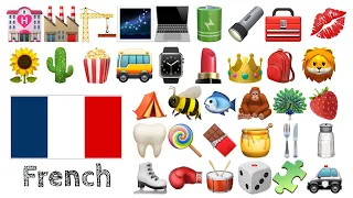 Learn 400 words in French with Emoji -  🌻🌵🍿🚌⌚️💄👑🎒🦁🌹🥕⚽🧸🎁