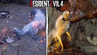 Resident Evil 4 REMAKE - What Happens if You Save the Dog? (Resident Evil 4 Secrets)