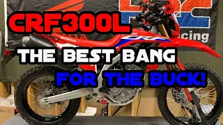 Honda CRF300L Is It The Best Dual Sport Ever?