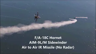 F/A-18C AIM-9L/M Sidewinder Air-to-Air IR Missile (No Radar) Guide | DCS World
