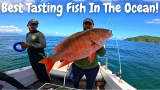 MUTTON SNAPPER FISHING IN THE CARIBBEAN - Catch & Cook - Baked Snapper On The Half Shell