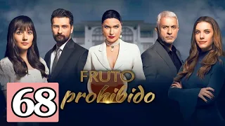 Fruto Prohibido Capitulo 68 Novela Turca En Español