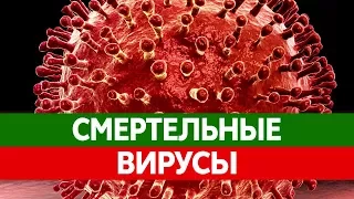 Самые ОПАСНЫЕ ВИРУСЫ у человека. Желтая лихорадка, грипп, малярия, ВИЧ и ротовирусная инфекция