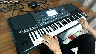 Любительские исполнение на korg pa600