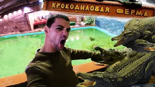 🐊 Eco-village Crocodile Farm in Kolomna!