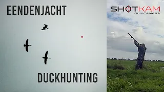 Eendenjacht op #ShotKam ~ Duckhunting in Holland