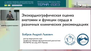 Эхокардиографическая оценка анатомии и функции сердца в различных клинических рекомендациях