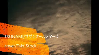 TSUNAMI／サザンオールスターズ　cover　by　Takt Stock