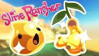 Finding The Extremely Rare Gilded Ginger! - Let's Play Slime Rancher Gameplay
