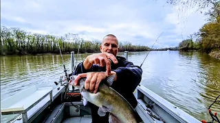 These simple tips CATCH CATFISH of all sizes! (How to catch catfish)