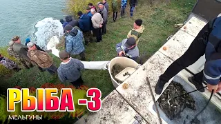 🐟Зарыбление (3я партия) пруда САЗАНом на ОБЩИЕ деньги❗