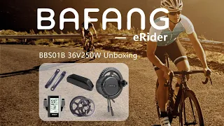 BAFANG BBS01B-36V250W