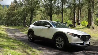 Mazda CX-30 Skyactiv-G 122ch, l'art de faire différent