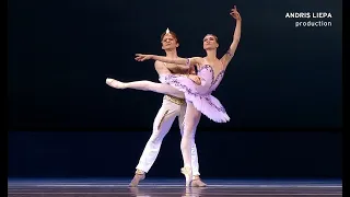 Tatiana Melnik and Daniil Simkin in ‘Le Corsaire’ (2015)