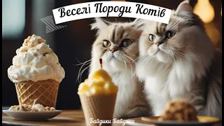 мультик -  Смішні Породи Котів канал Байдики Байдики Маленький Українець
