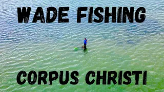 Wade Fishing Corpus Christi (Trout Annihilation!!)