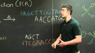 Polymerase Chain Reaction (PCR) | MIT 7.01SC Fundamentals of Biology