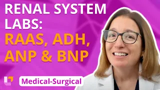 RAAS, ADH, ANP/BNP, Renal System Labs - Medical-Surgical (Med-Surg) - Renal System - @LevelUpRN