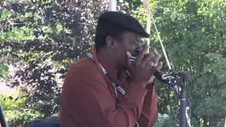 Terry Harmonica Bean - Catfish Blues (harp)