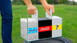 Qué hay que mezclar con Coca Cola y Mentos para tener esta SUPER REACCIÓN?