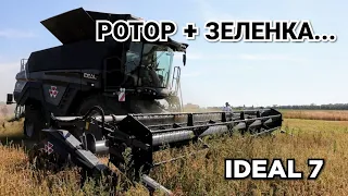 Перший Massey Ferguson IDEAL 7 на Жнива 2020. Забур'янений ячмінь проти ротора! Круче CASE?