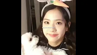 pov: you are Jisoo🐢🐰 #jisoo #kimjisoo #jisooblackpink #kpop #blackpink #shorts #trending