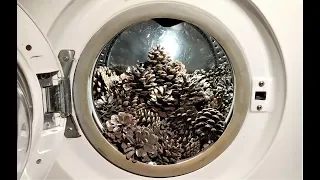 Experiment - Pine Cones - in a Washing Machine - Centrifuge