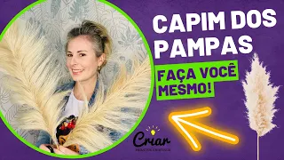 COMO FAZER CAPIM DOS PAMPAS| Pampa Grass | Faça Você Mesmo |  Diy | Decoração Boho | Boho Decor