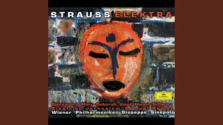 R. Strauss: Elektra, Op. 58 - "Ich habe keine guten Nächte."