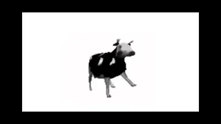 MEMNAYA PAPKA, DAVID BEATS - Польская корова remix by JaVIS