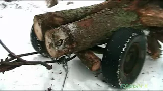 Валежник с корнями для поделок