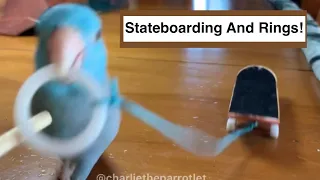 Parrot Pulls His Skateboard Back to the Start