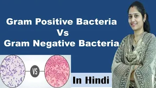 Difference between Gram positive and Gram negative bacteria | In Hindi | Science Explored