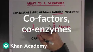 Co-factors, co-enzymes, and vitamins | MCAT | Khan Academy