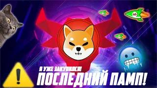 SHIB НАЧАЛ ПОСЛЕДНИЙ БЫЧИЙ ЗАБЕГ УЖЕ СЕЙЧАС! ЗАКУПАЮ SHIBA INU В ПРЯМОМ ЭФИРЕ! УЖЕ ЛИСТИНГ НА KRAKEN