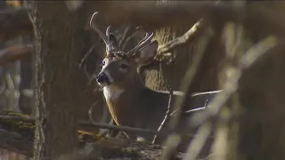 Officials remain optimistic about hunting and fishing in Pa. despite decreasing license numbers